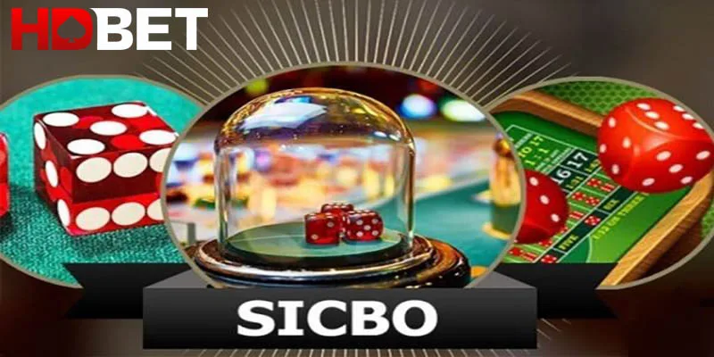 Sicbo HDBET: Khám phá tựa game cùng bí kíp chơi bất bại